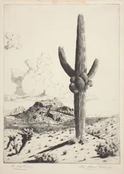 El Centinela (Sahuaro) (aguafuerte y aguatinta)