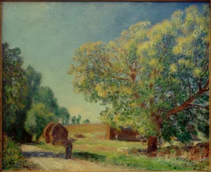 Alrededor del bosque