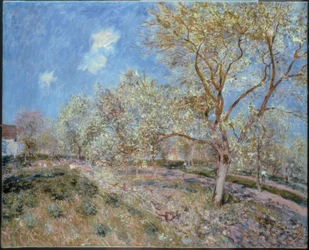 Primavera en Veneux