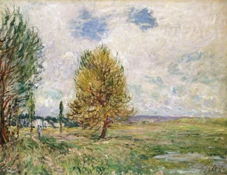 La llanura de Veneux-Nadon, 1881