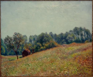 El valle