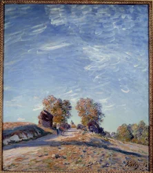 Camino ascendiendo al sol