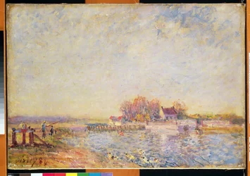 Escena de río con patos
