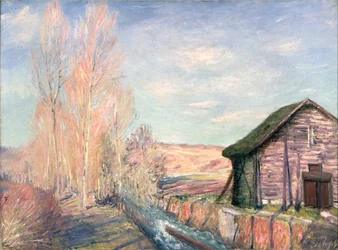 Primavera en el campo, afueras de Moret