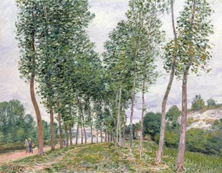 La avenida de los álamos a lo largo de las orillas del Loing