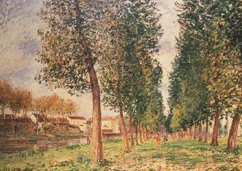 La Avenida de los Álamos en Moret, Día Nublado, Mañana