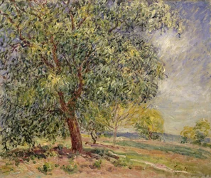 Nogal en Sablons en primavera, 1885