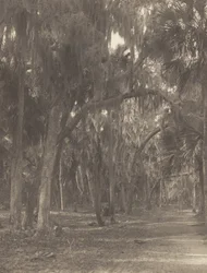 En Rockledge, Florida