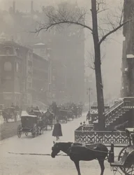 Quinta Avenida - Calle 30