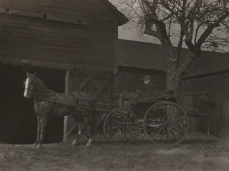 Caballo y carruaje