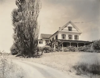 Casa y álamos, Lake George