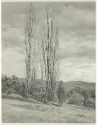 Álamos—Lago George