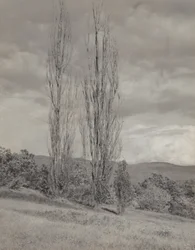 Álamos - lago George