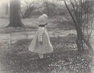 Primavera