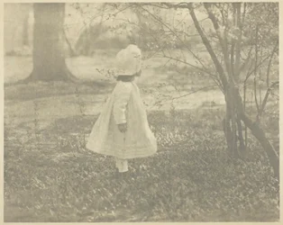 Primavera - El Niño