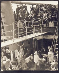 El Novillo