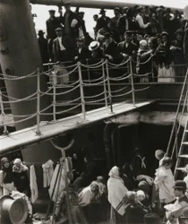 El Novillo