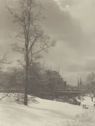 Invierno (Central Park)