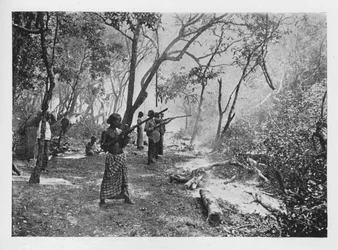 Captura de elefantes en Ceilán hacia el corral, c1890, 1910