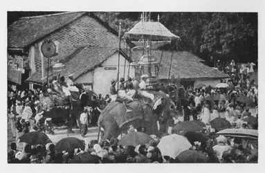 Kandy Perahera. - Una procesión de elefantes llevada a cabo por los jefes de Kandy, c. 1890, 1910