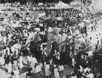 Elefante sagrado en la procesión Perahera, Kandy, Ceilán, c1890, 1910