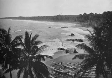 Vista desde el Monte Lavinia, mostrando palmeras de coco a lo largo de la costa, c. 1890, 1910