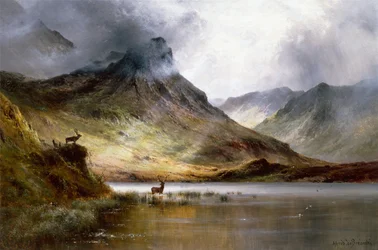Los rebaños de Aberdeen