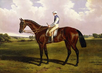 Bloomsbury, Un Caballo de Carreras Castaño con Sam Templeman, en un Paisaje