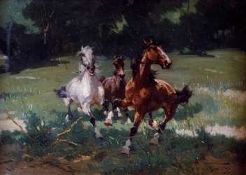 Caballos corriendo