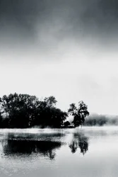 Boissy Morning, 2017 (fotografía pintada a mano)