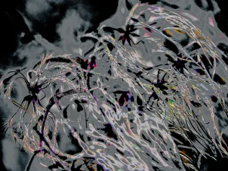 Countryfile, 2015 (fotografía)
