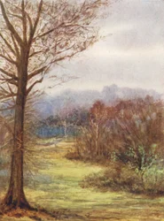 New Forest: A Peep on the Brockenhurst Road, Early Spring (litografía en color)