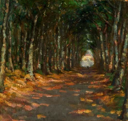Allee dans le Parc, ca. 1906