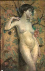 Desnudo contra la pantalla