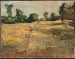 El Campo
