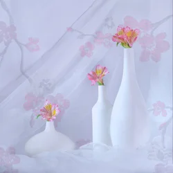 Elegantes flores rosas