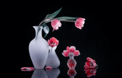 Bodegón con tulipanes rosas