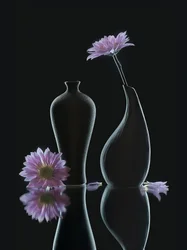 Serenos reflejos florales