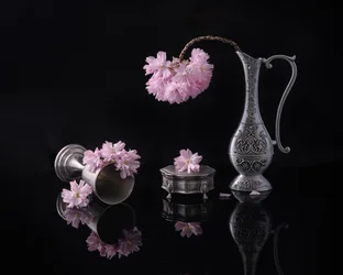 Plata y sakura