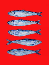 Sardinas azules audaces