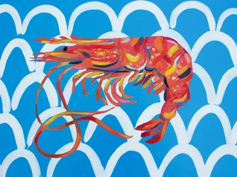 Gambas de mar de colores