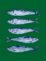 Cinco sardinas pintadas