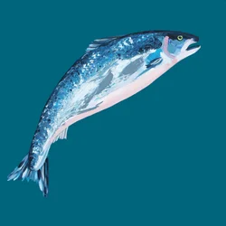 El salmón azul saltador