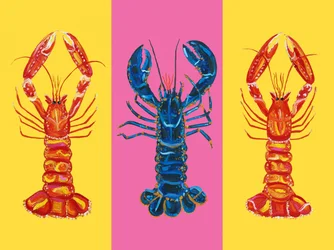 Langosta y cigalas Pop Art 2