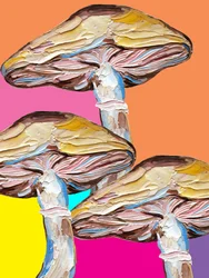 Arte pop con hongos psicodélicos