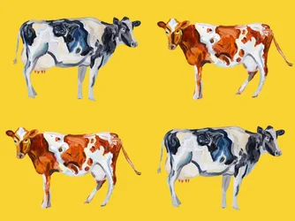 Vacas de granja manchadas
