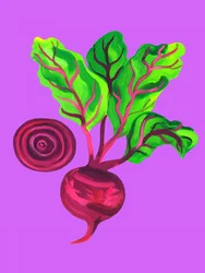 Remolacha «Vibrant Garden»