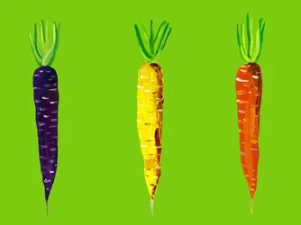 Zanahorias de jardín de colores vivos