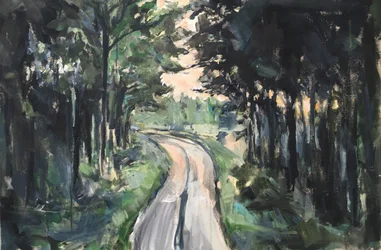 Carretera forestal sinuosa