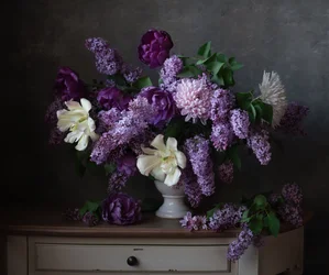 Elegante ramo de lilas